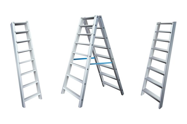 GRP twin ladder